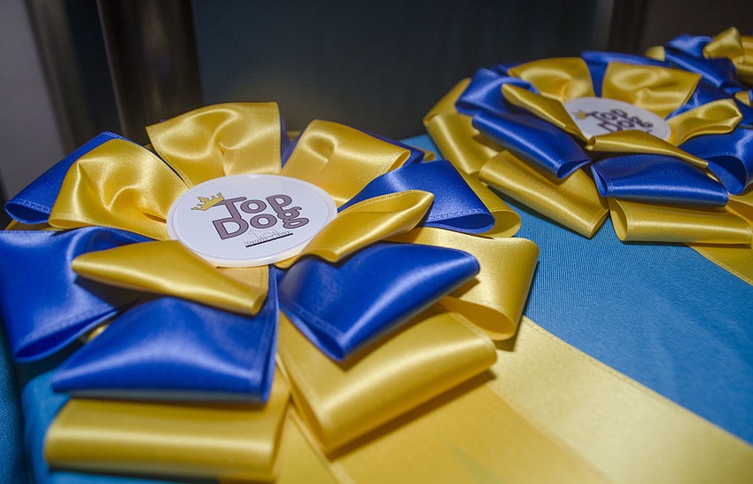 Participants in the Top Dog competition competed for ribbons in four categories: best singer, best kisser, best hair and best dressed. The Top Dog was chosen from the winners of four categories.