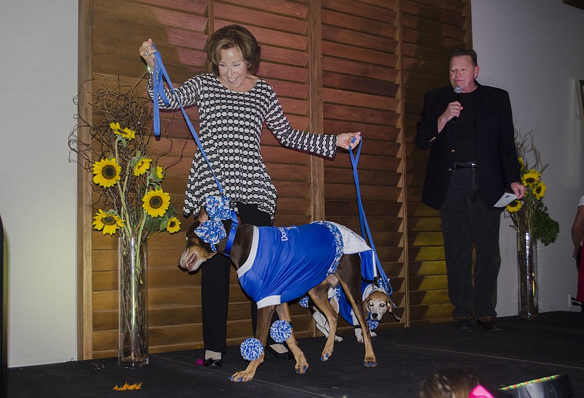 Anne Gold walks Marley and Lucky across the stage in their Donte’s Den themed costumes during the costume portion of the Top Dog dog show.