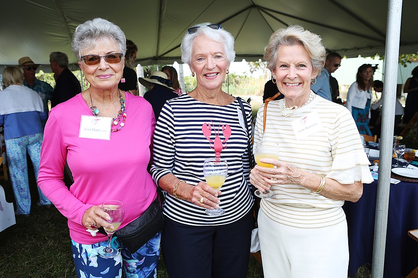 Joan Matthews, Katie Couchot and Jane Humann