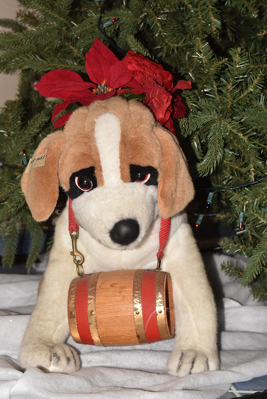 One of the late Father Pick's St. Bernards greeted guests.