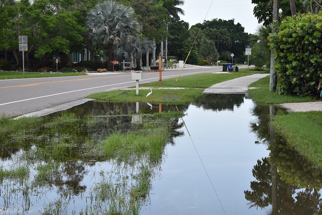 Certain areas of Gulf of Mexico Drive are prone to flooding when there are heavy rains. File photo