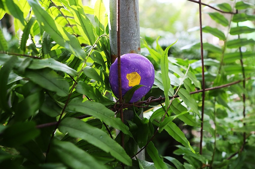 Around 400 rocks were hid throughout the Children's Garden.