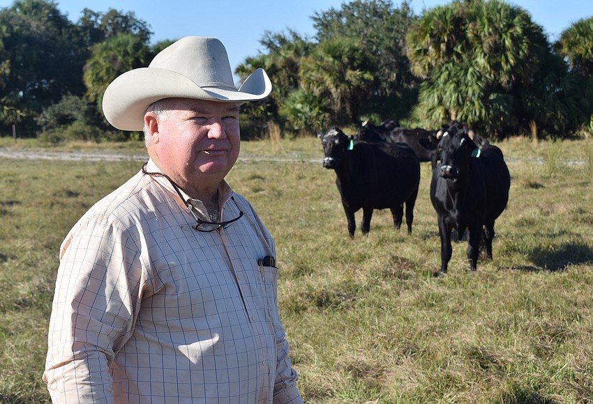 Florida Cattlemen's Association president beefs up agricultural ...