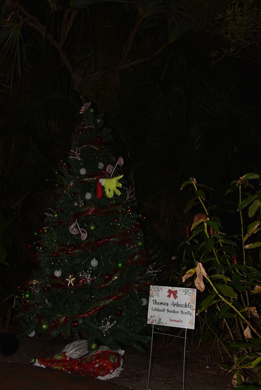 Your Observer Photo The Thomas Arbuckle Coldwell Banker Realty tree.