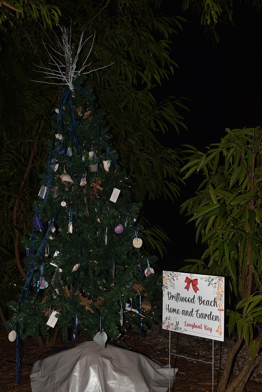 Driftwood Beach Home and Garden tree