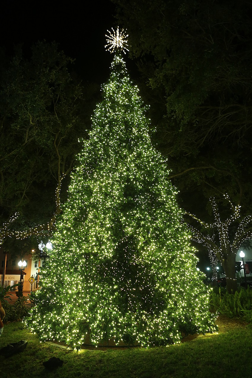 Dozens gathered around the tree