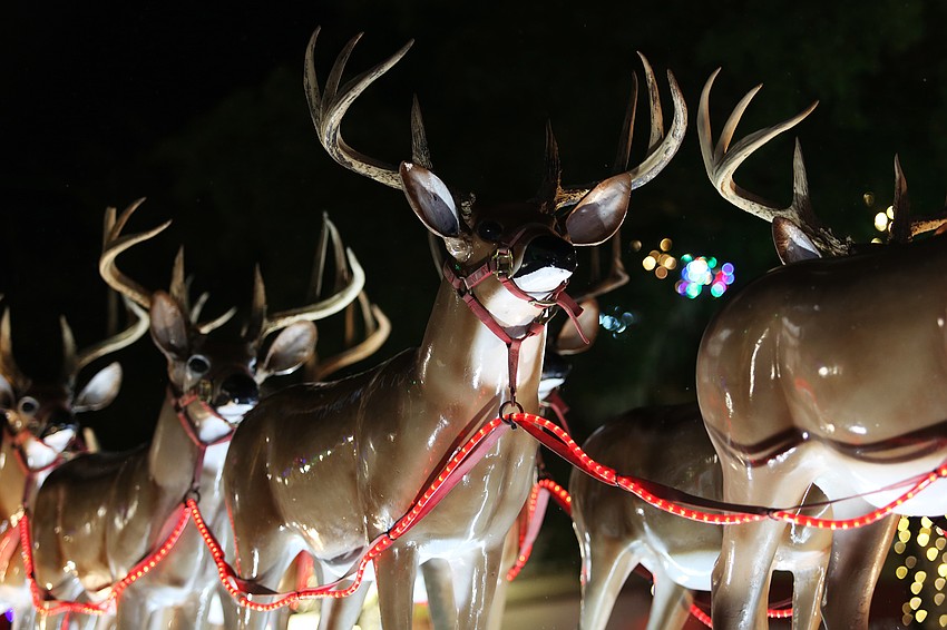 Santa Claus arrives with reindeer.