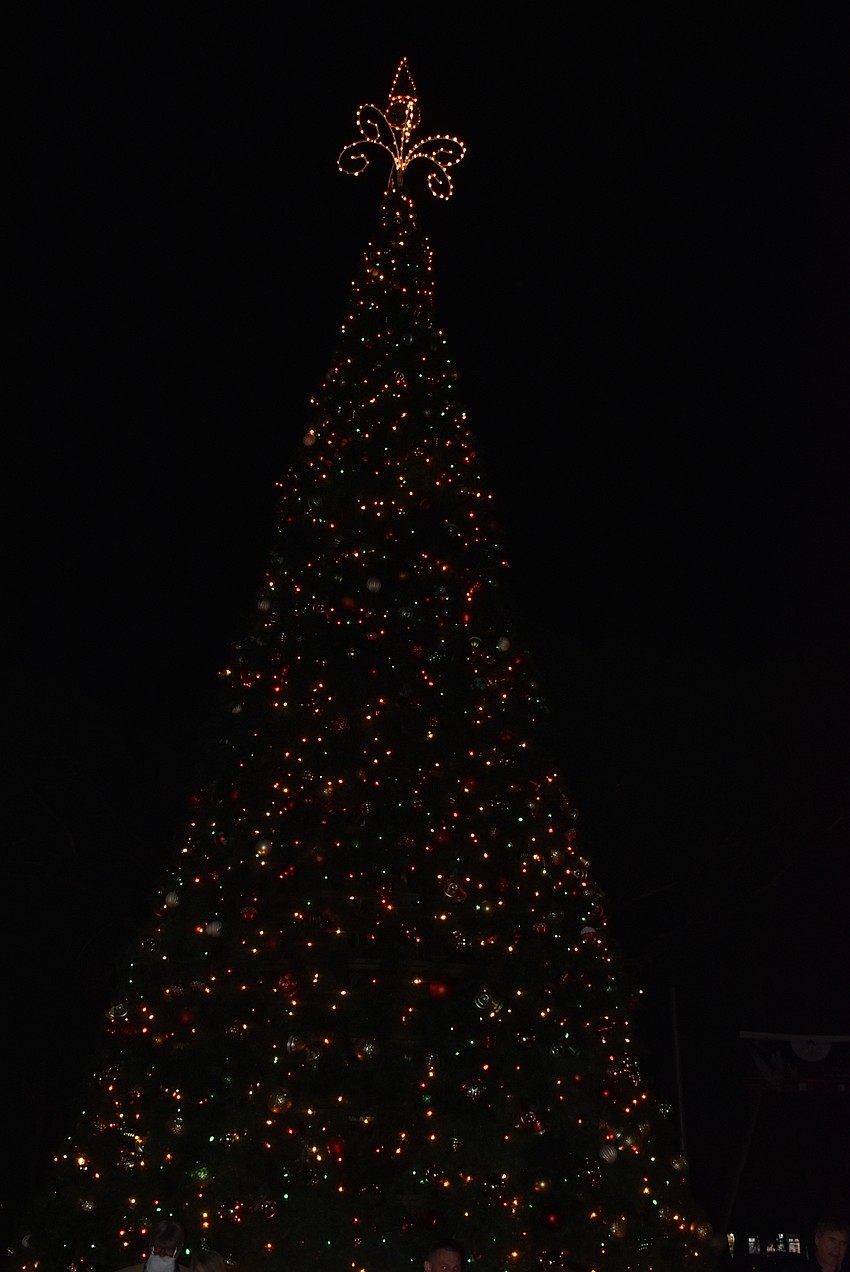 The tree wasn't lit until the Holiday Night of Lights.