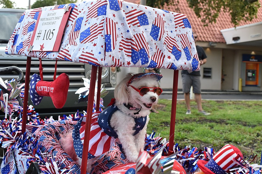 JULY:  Nancy and Tony Roberts' dog Biscuit was decked out in Fourth of July attire.