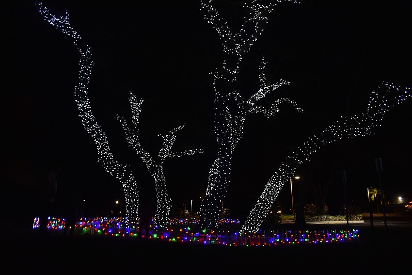 DECEMBER: Mark Meador from Casa Del Mar provided the lights and setup.