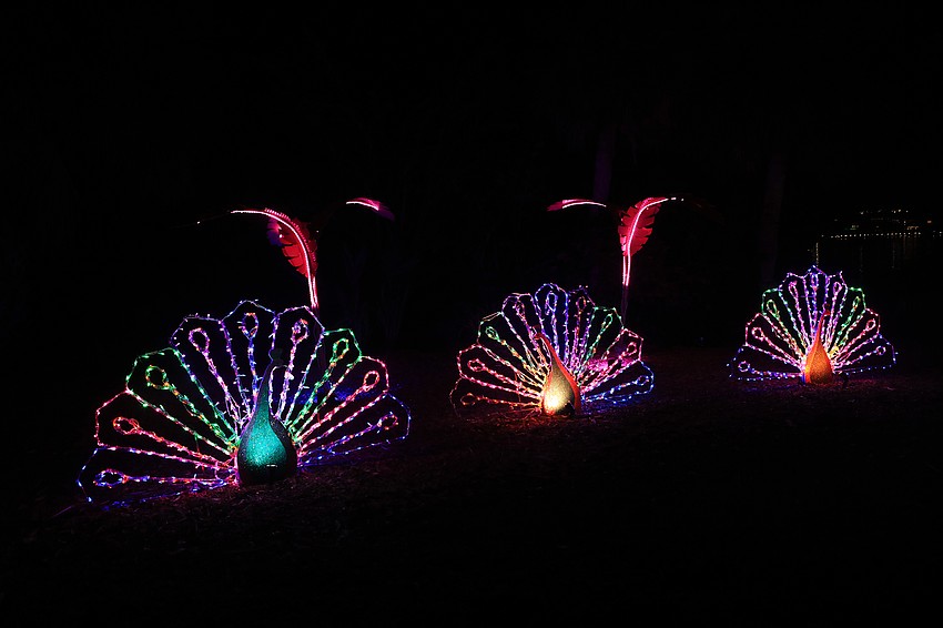 The Lights in Bloom show transforms the gardens with designs made of millions of lights.