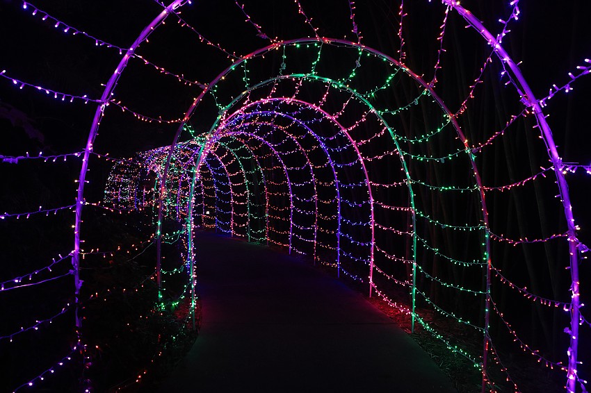 The Lights in Bloom show transforms the gardens with designs made of millions of lights.