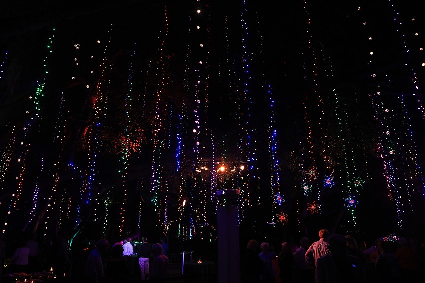 The Lights in Bloom show transforms the gardens with designs made of millions of lights.