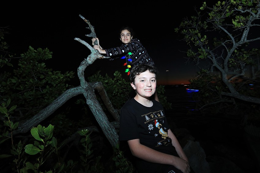 Sophie Curtis and Nick Barnes