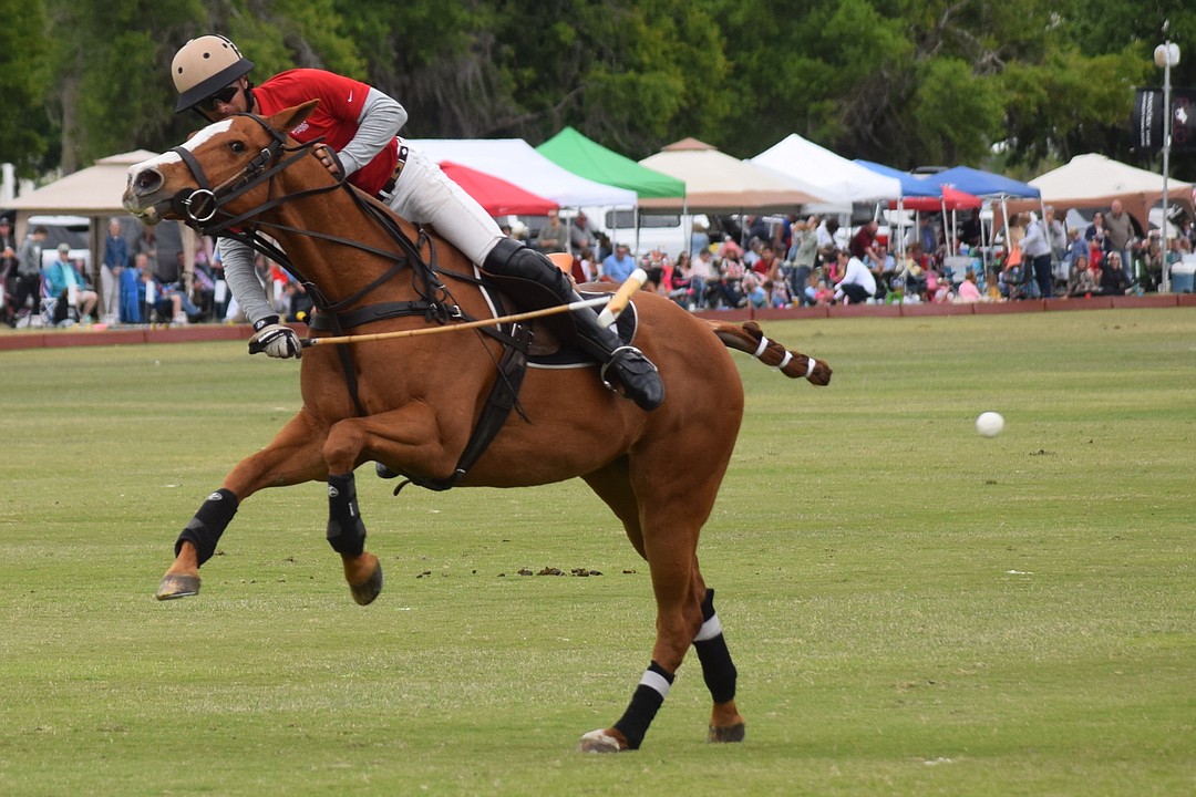 All aboard for the Sarasota Polo Club's opening day in Lakewood Ranch