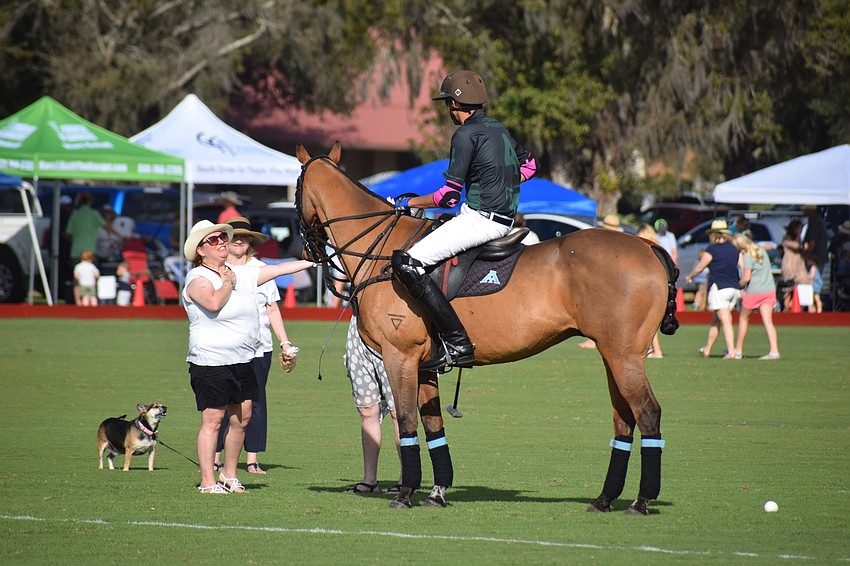 Sara Osten of East County gets up close and personal with a horse named Scooby-Doo that was ridden by Alan Martinez of Organic Matters/North South Wealth Management.