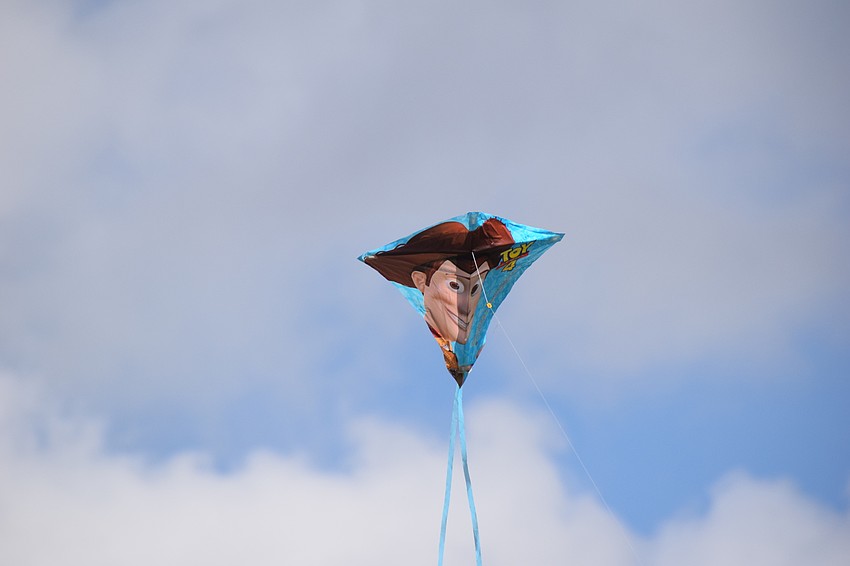 Some heavy winds whipped through the area but it didn't make much difference to the polo fans and actually made it more fun for those who brought kites.