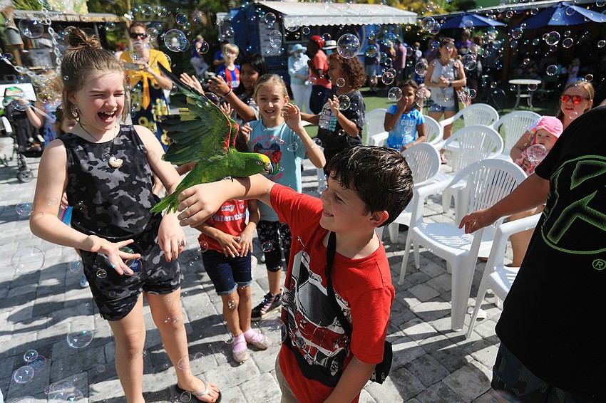 Judah Swan introduces his parrot Ninja to the fun.