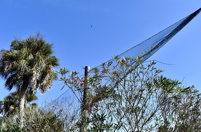Bobby Jones Golf Course has been closed to golfers for nearly two years. It's been open to recreational cycling, running and walking.