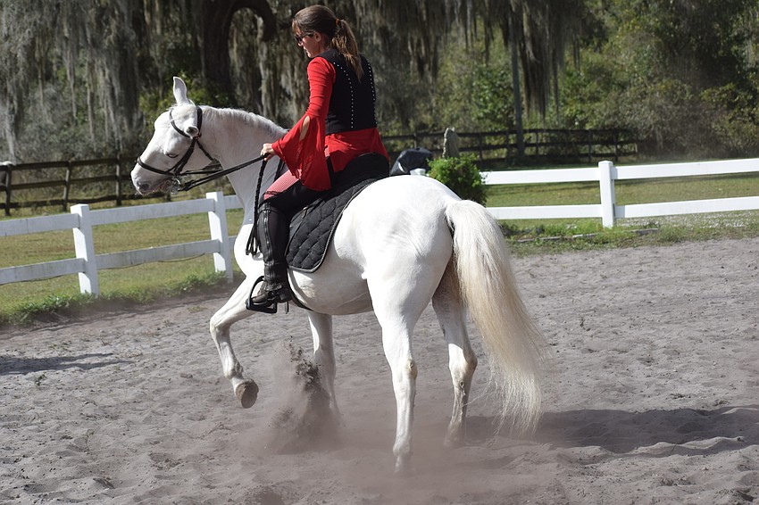 Zak kicks up a little dirt as Rebecca McCullough works him in preparation for this week's shows.