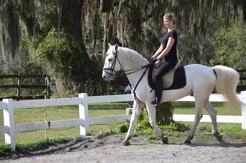 Angela West is a new rider at Herrmann's Royal Lipizzan Stallions.