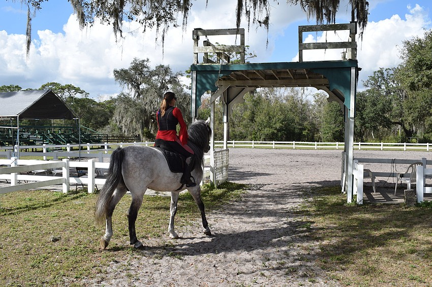 Rebecca McCullough is contemplating a move to a turf arena as opposed to the current dusty dirt bottom.