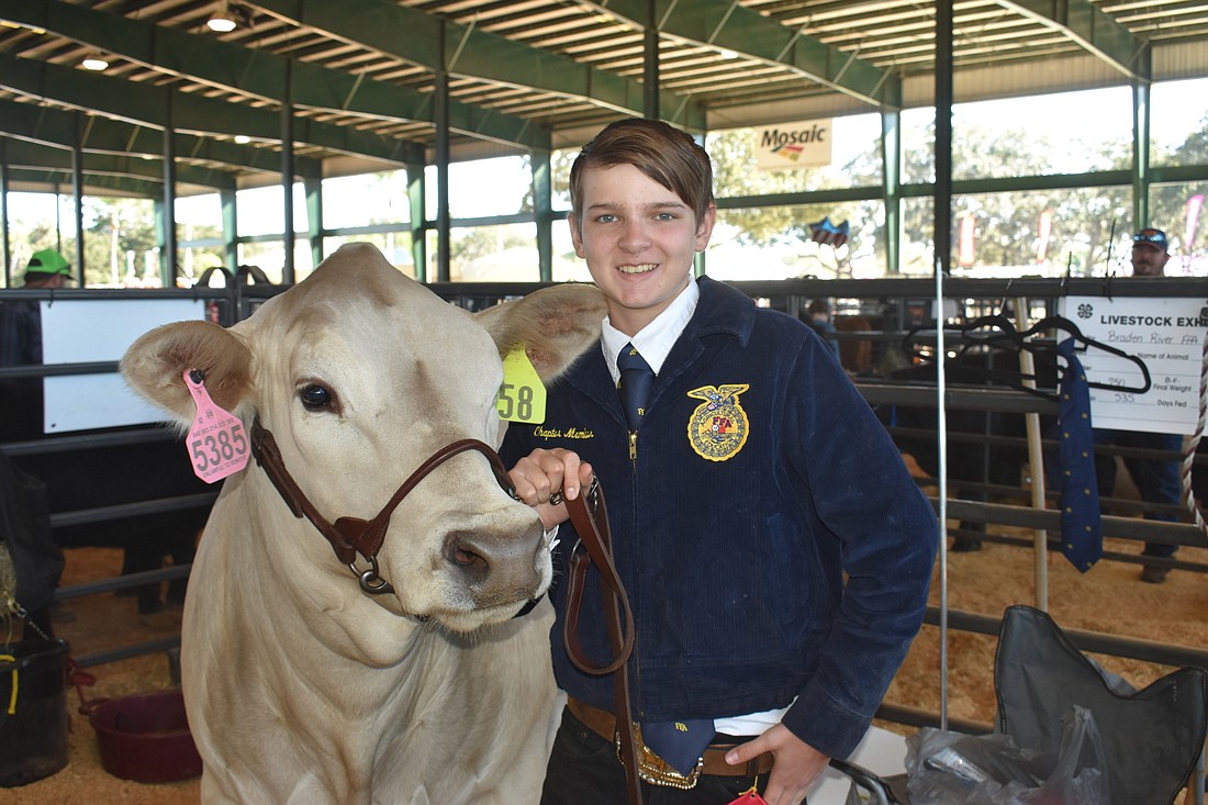 Your Observer | Photo - Carter Keel of the Braden River High School FFA is  ready to show Oakley.