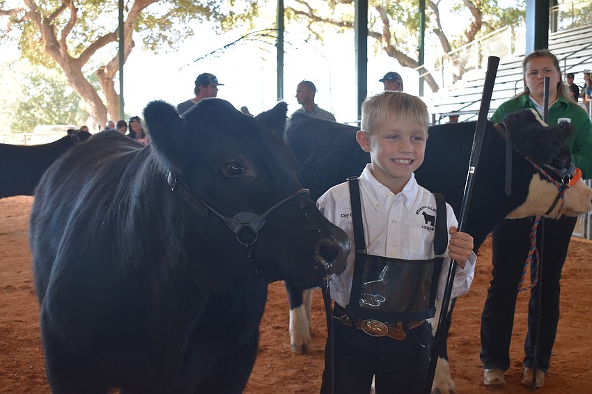 Hokey Pokey behaves well for Coy Cone of Myakka All Stock.