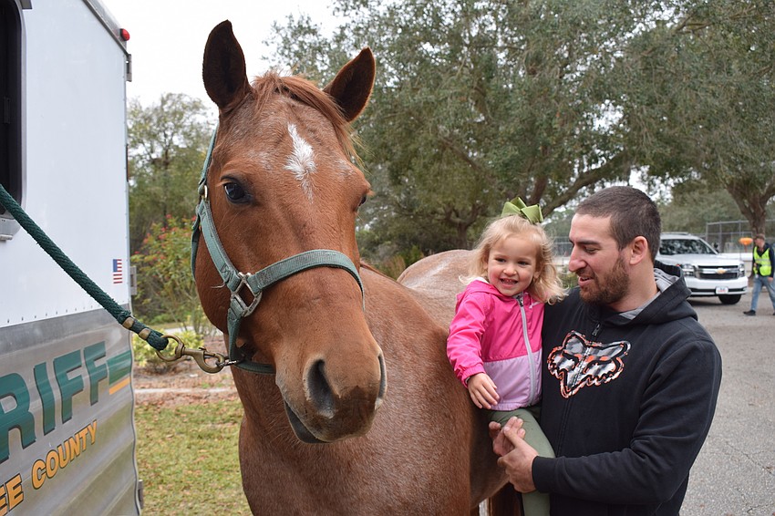 Sarasota 2-year-old Kollyn Segal and her dad, Don Segal, meet Gunny, a horse with the Manatee County Sheriff's Office mounted patrol.