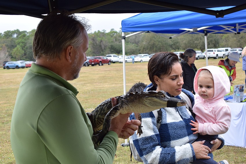 Dan Glenn, the director of marketing for the Alligator Wildlife Discovery Center of Madeira Beach, lets Country Club's Jillian Sindoni and 2-year-old Aurora Sindoni get close to a baby alligator.