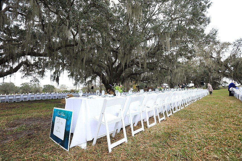 More than 350 made up the outdoor lunch.