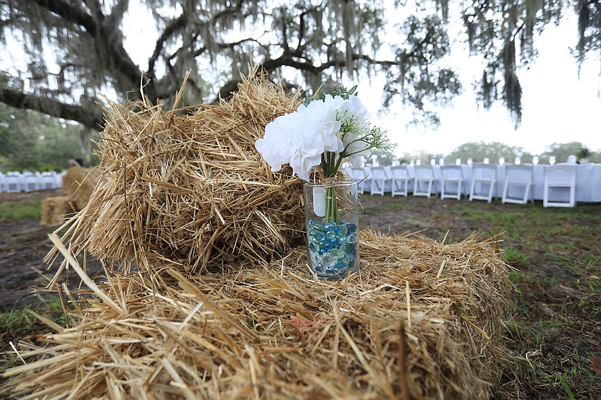 The lunch event was held at the Mote Aquaculture Research Park.