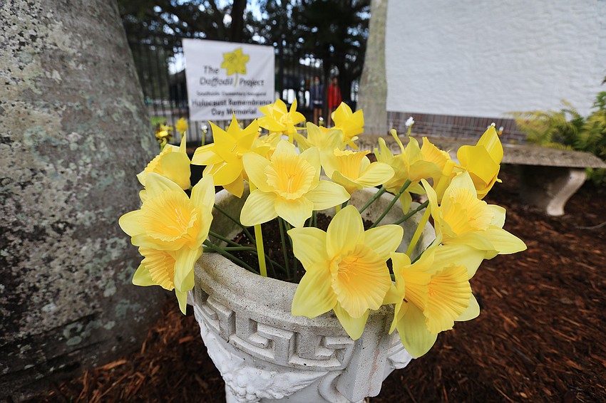 Around 150 daffodils were planted.