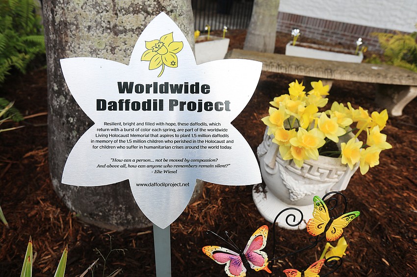 The Daffodil Project aims to plant 1.5 million daffodils in remembrance of the children who were killed in the Holocaust.