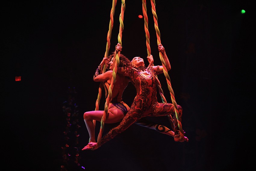 Gala co-chairwomen Donna Koffman and Elisabeth Waters