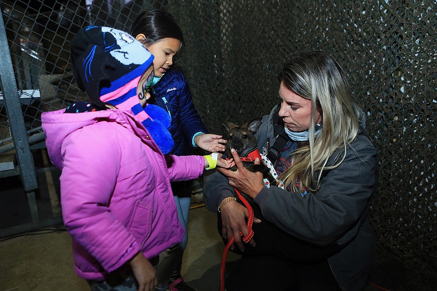 Eloise and Alex Chau pet a wallaby.
