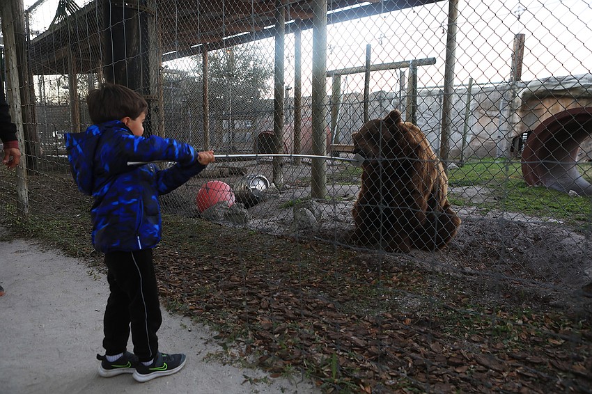 Luke Adler feeds a bear.