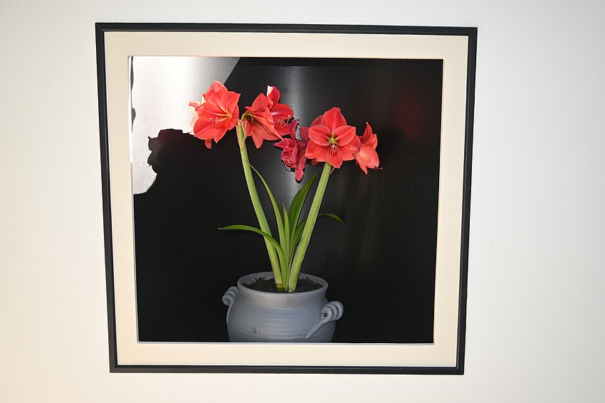 The exhibit plays with framing, shadows and light in each of its focal points. (Photo: Spencer Fordin)