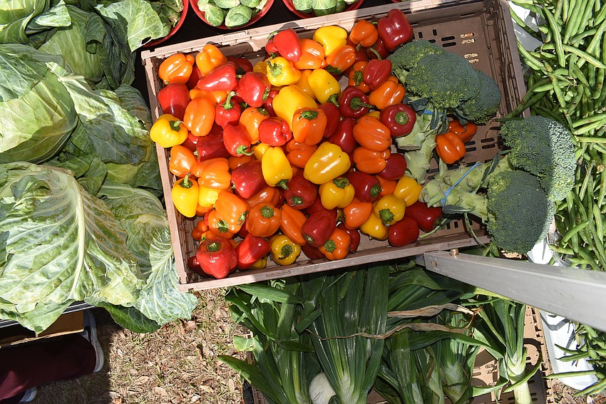 There were two produce vendors this month, set up near the entrance of the market.