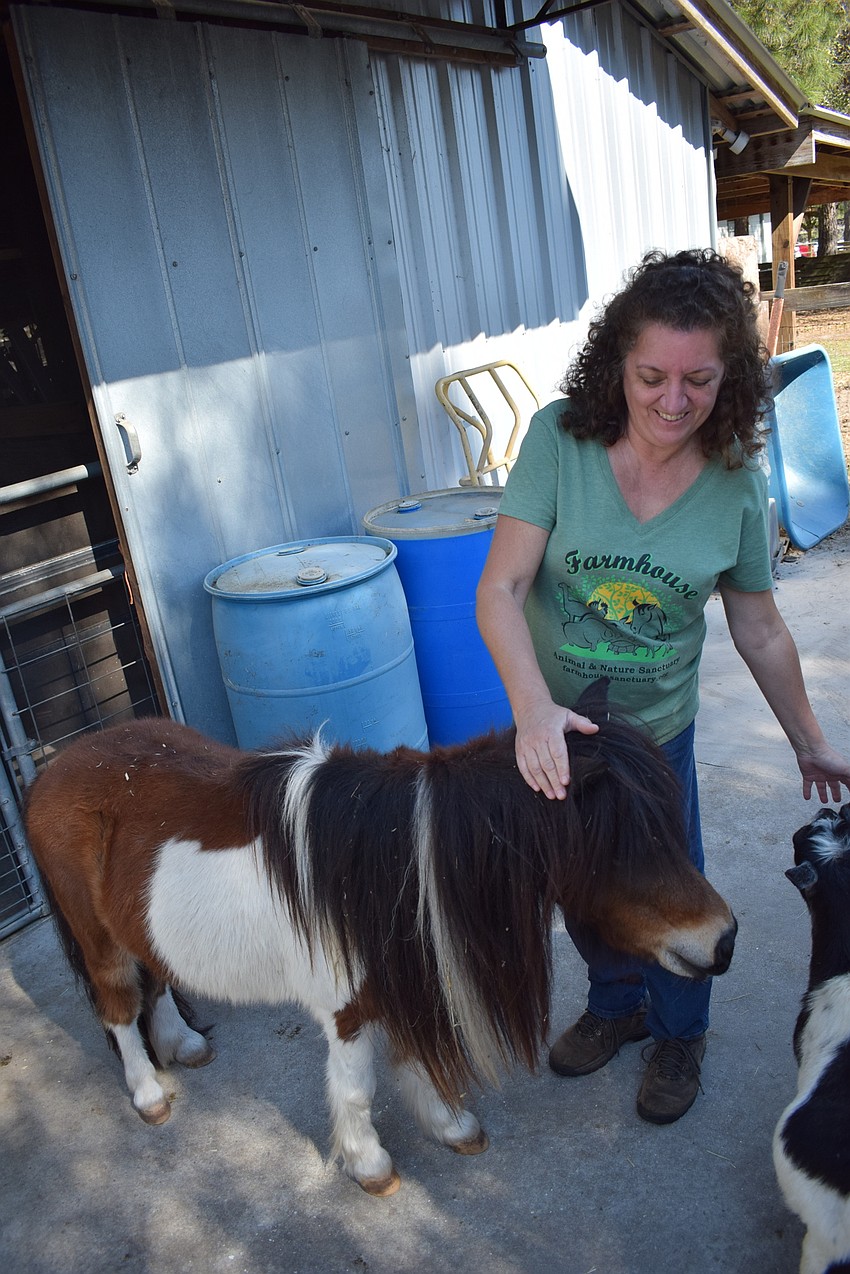 Bullseye enjoys the attention from Lisa Burns. Bullseye was named after 