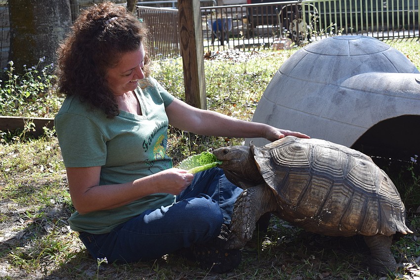 Lisa Burns feeds George, who likes to climb up on her lap.
