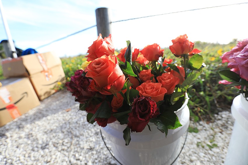Guests pick up flowers on arrival.