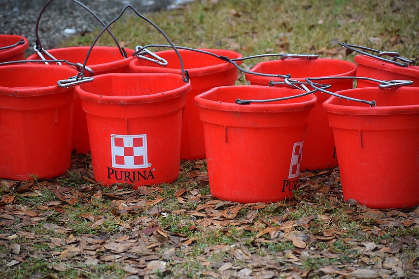 Purina buckets are everywhere on a Budweiser Clydesdale road trip.