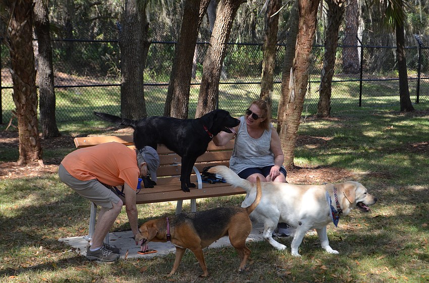 Dog owners and multiple dogs enjoying Thursday's unleashing event at Bay Street Dog Park.