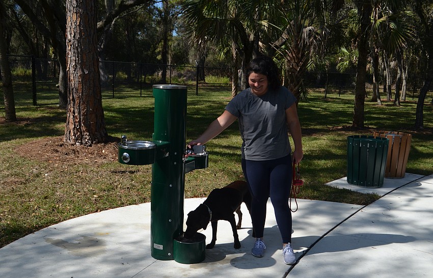 A dog drinking from the new water fountains in Bay Street Dog park.