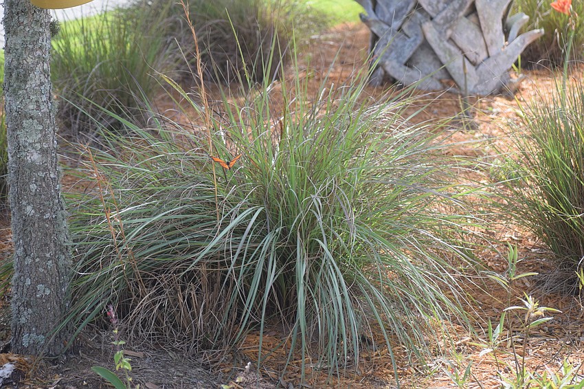 The garden was designed by Master Gardeners.