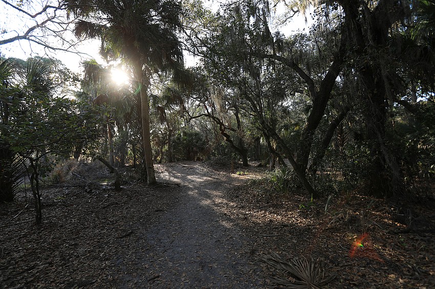 The Red Bug Slough has several quiet landscapes to enjoy.
