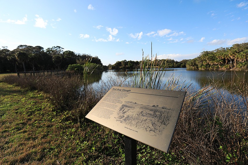 The Red Bug Slough has several quiet landscapes to enjoy.