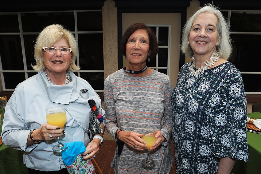 Saranee Newman, Bryna Tevlowitz and Ann Logan