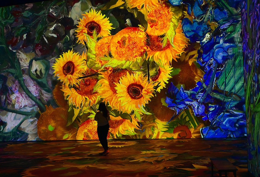 'Beyond Van Gogh' exhibit lands in Sarasota Your Observer